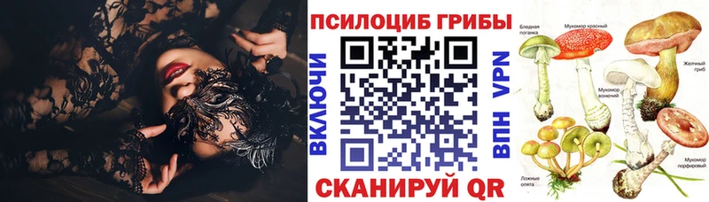 сколько стоит  Кемь  Галлюциногенные грибы MAGIC MUSHROOMS 